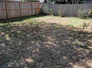 Leaf Removal by Juan Guzman for Sean C. in Houston, TX