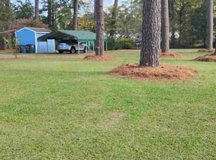 Robert G.'s Lawn Mowing service result