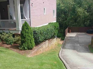 CJ S.'s Lawn Mowing Service service result