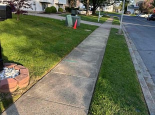 Linda W.'s Lawn Care service result
