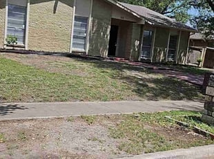 Leaf Removal by Jorge CrisΓ³stomo for Ryan C. in Carrollton, TX