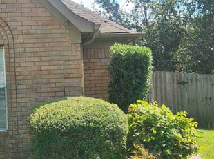 Bush Trimming by Darren Mckinney for Lekesia J. in Memphis, TN