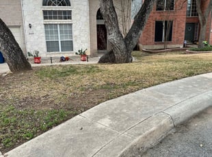 Brittany K.'s Leaf Removal service result