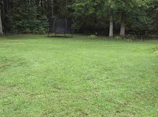 Josh B.'s Lawn Service service result