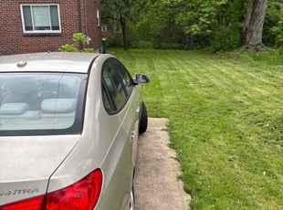 Alicia A.'s Lawn Mowing Service service result