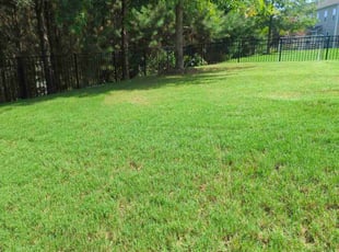 Shonna R.'s Lawn Mowing Service service result