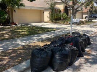 Leaf Removal by Ben Conlon for Garth P. in Parrish, FL