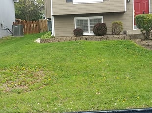 Cleanups by John Walters for Jenni V. in Kansas City, MO