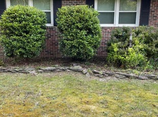 Bush Trimming by Earl Rene for Kathryn G. in Salisbury, MD