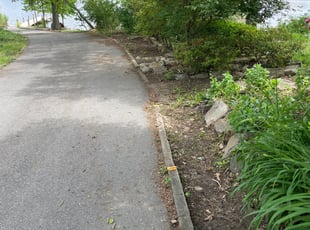Chris G.'s Leaf Removal service result