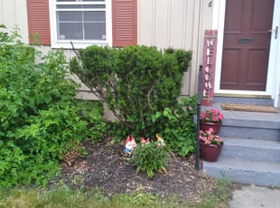 Bush Trimming by Nathan Downey for Kristina H. in Ferndale, MI