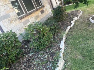 Bush Trimming by Alfredo Cisneros for Joshua R. in McKinney, TX