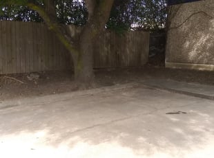 Jordan W.'s Leaf Removal service result