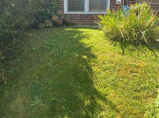 Reginald P.'s Yard Cutting service result