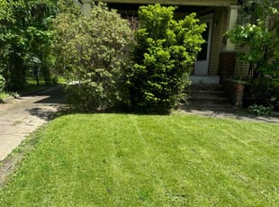 Leo i.'s Lawn Mowing service result