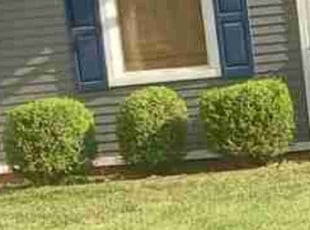 Bush Trimming by Lance Reynolds for Ellie J. in Roeland Park, KS