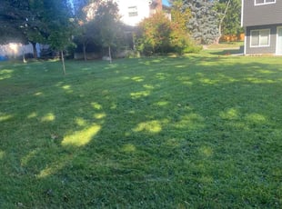Ken J.'s Lawn Maintenance service result