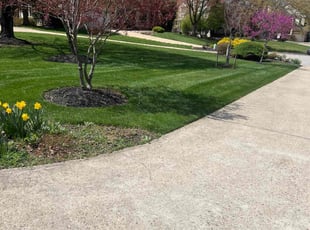Paul E.'s Lawn Mowing service result