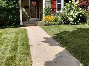 Deanne Z.'s Lawn Mowing service result