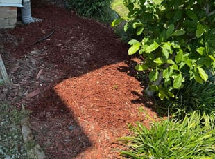 Weeding by Marcus Simon for Courtney S. in Baton Rouge, LA