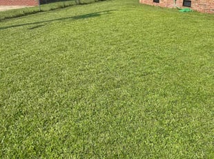 William s.'s Lawn Maintenance service result