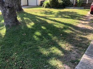 Kevin J.'s Grass Cutting service result