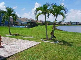 Danara C.'s Lawn Care service result