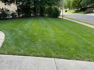 Karen R.'s Lawn Care service result