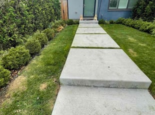 Leaf Removal by Angel DePeralta for Andrew B. in Denver, CO