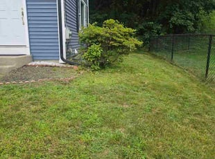 John P.'s Bush Trimming service result