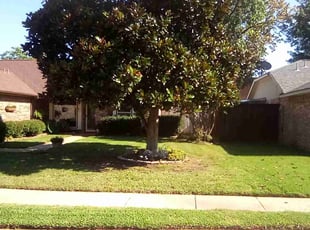Eric P.'s Lawn Mowing service result