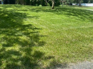 Amy W.'s Lawn Mowing service result