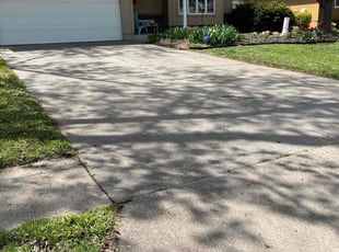 Gina H.'s Yard Cutting service result