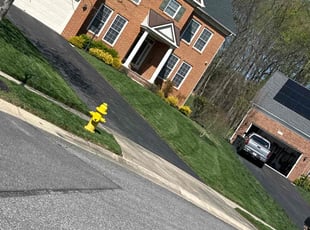 Rodney R.'s Lawn Mowing Service service result