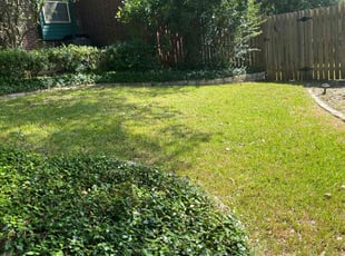 Debra G.'s Yard Cutting service result
