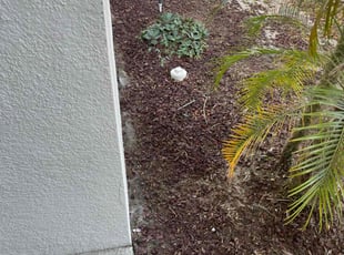 Leaf Removal by Jordan Davis for Nicole R. in Haines City, FL