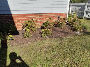 Weeding by Devin Harrison for Doug P. in Richmond, VA