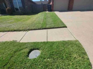 Danh D.'s Lawn Mowing Service service result