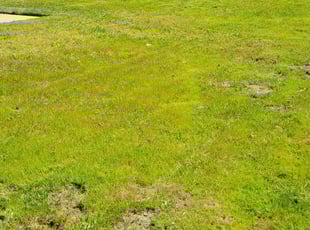 Cleanups by Mark Cowper for Meriem M. in Montclair, CA