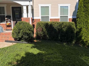 Bush Trimming by Chris Bruhh for Michelle S. in Chester, VA