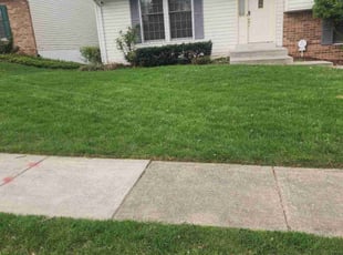 Marcus R.'s Lawn Service service result
