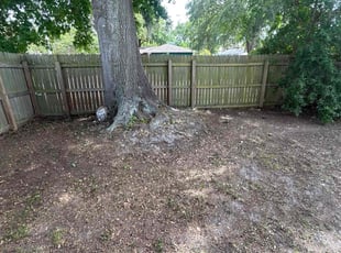 Leaf Removal by Ramon Taguja for Betsy l. in Brandon, FL