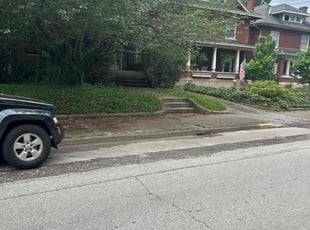 Carmen S.'s Lawn Mowing Service service result