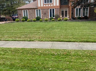 Daniel E.'s Lawn Maintenance service result
