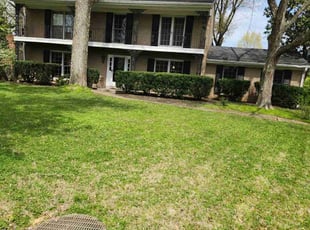 Bush Trimming by James Lewis for Maggie D. in Louisville, KY