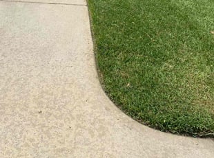 Monique J.'s Lawn Mowing Service service result