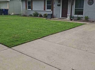 Billee C.'s Lawn Care service result