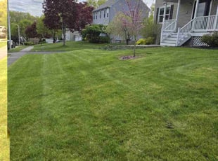 Edwin C.'s Lawn Care service result