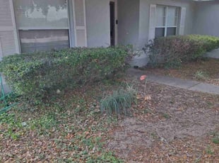 Bush Trimming by Pascual Quinones for James J. in Minneola, FL