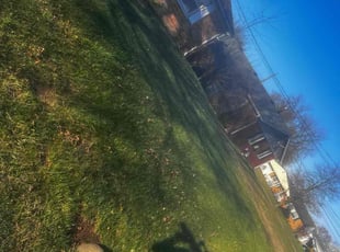Leaf Removal by James Abernathy for Matthew R. in Cincinnati, OH